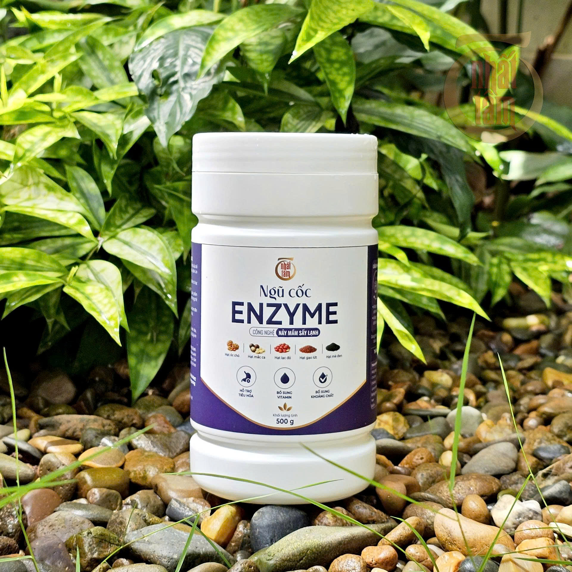 Ngũ cốc Enzyme - 500g - Ảnh 4