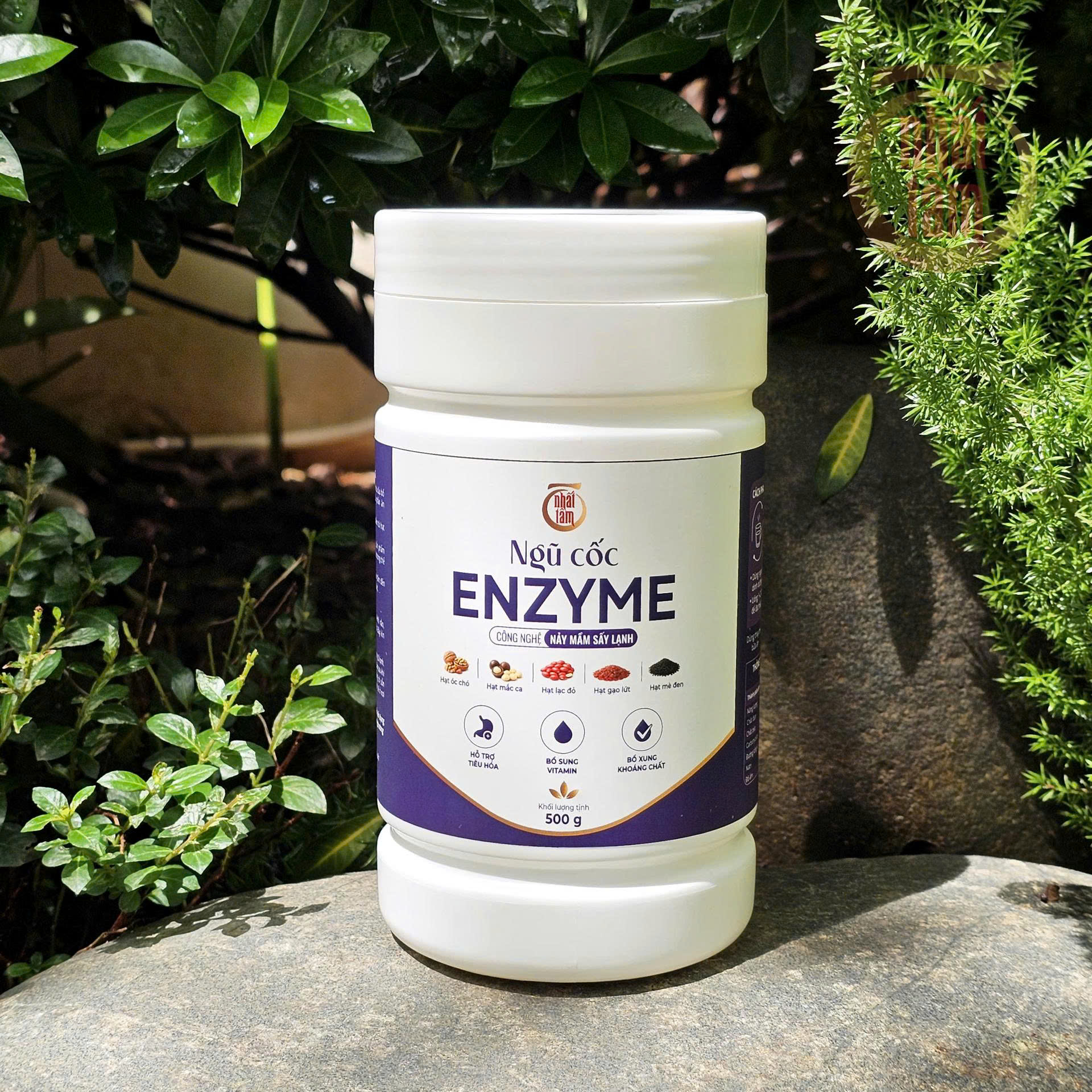 Ngũ cốc Enzyme - 500g - Ảnh 7