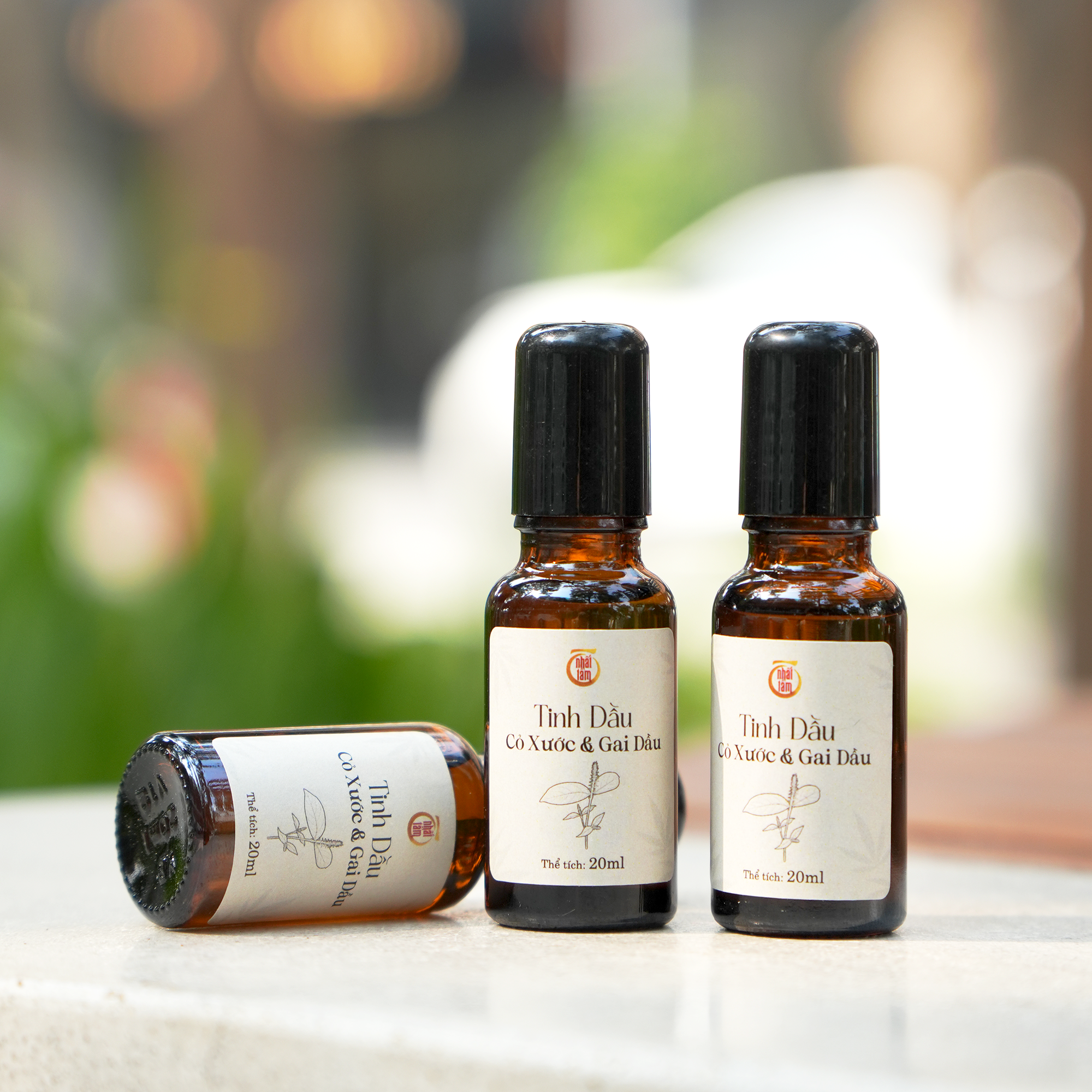 Tinh Dầu Cỏ Xước & Gai Dầu 20ml - Ảnh 2