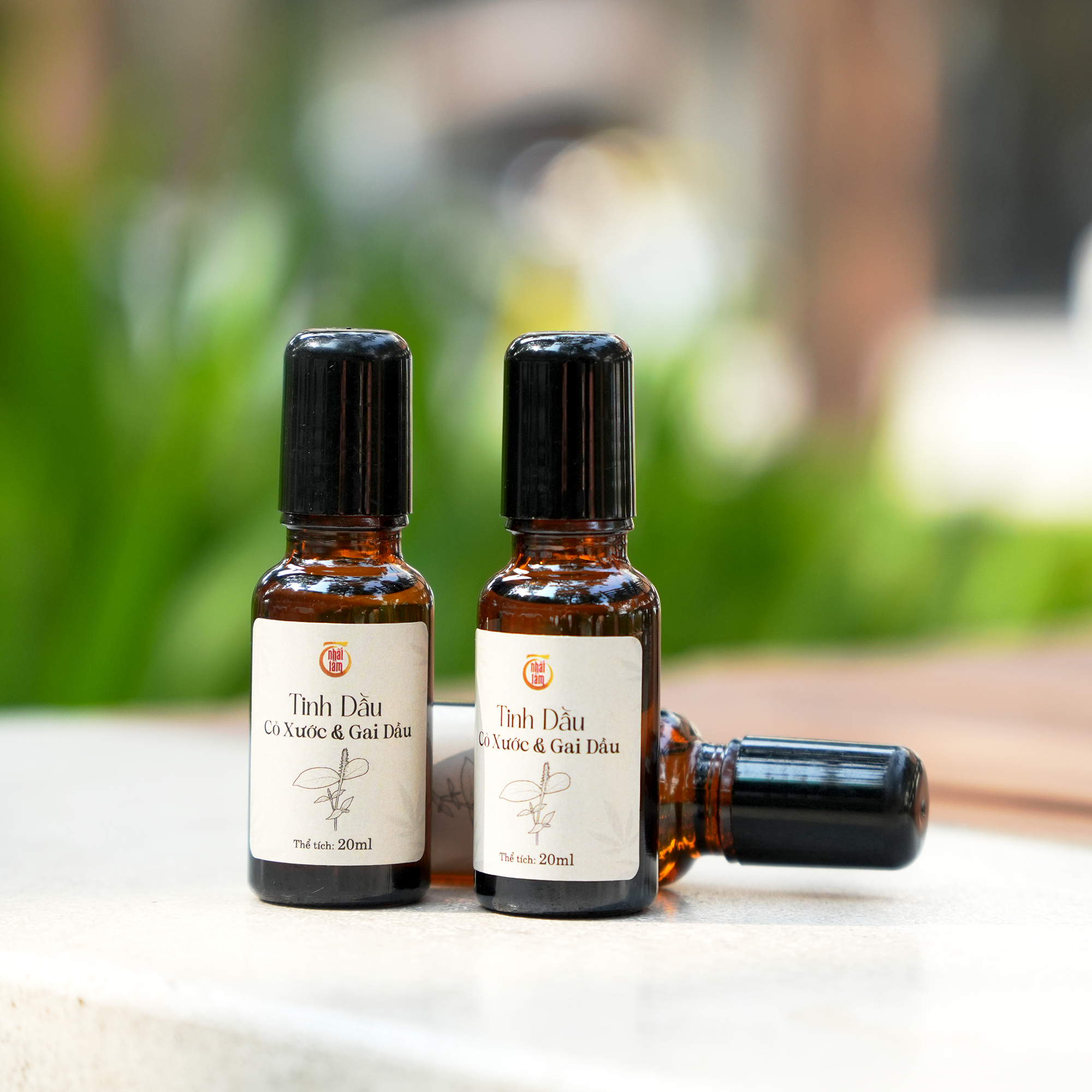 Tinh Dầu Cỏ Xước & Gai Dầu 20ml - Ảnh 3