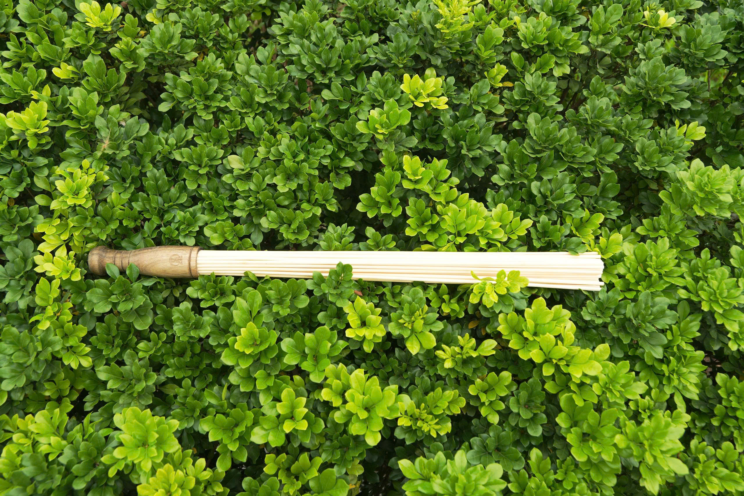 Bó tre trị liệu – Dụng cụ hỗ trợ giải cơ, thư giãn theo cơ chế tự nhiên - Ảnh 9