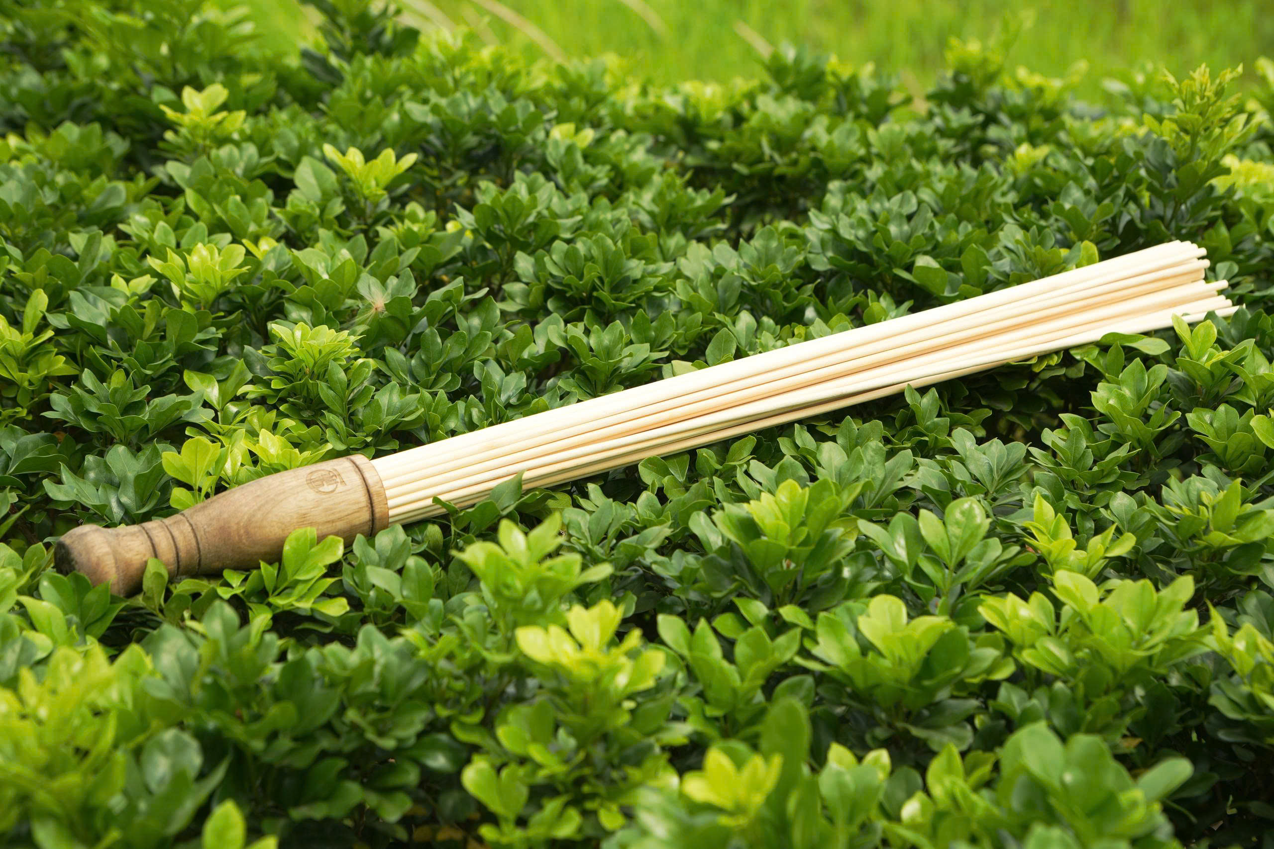 Bó tre trị liệu – Dụng cụ hỗ trợ giải cơ, thư giãn theo cơ chế tự nhiên - Ảnh 6