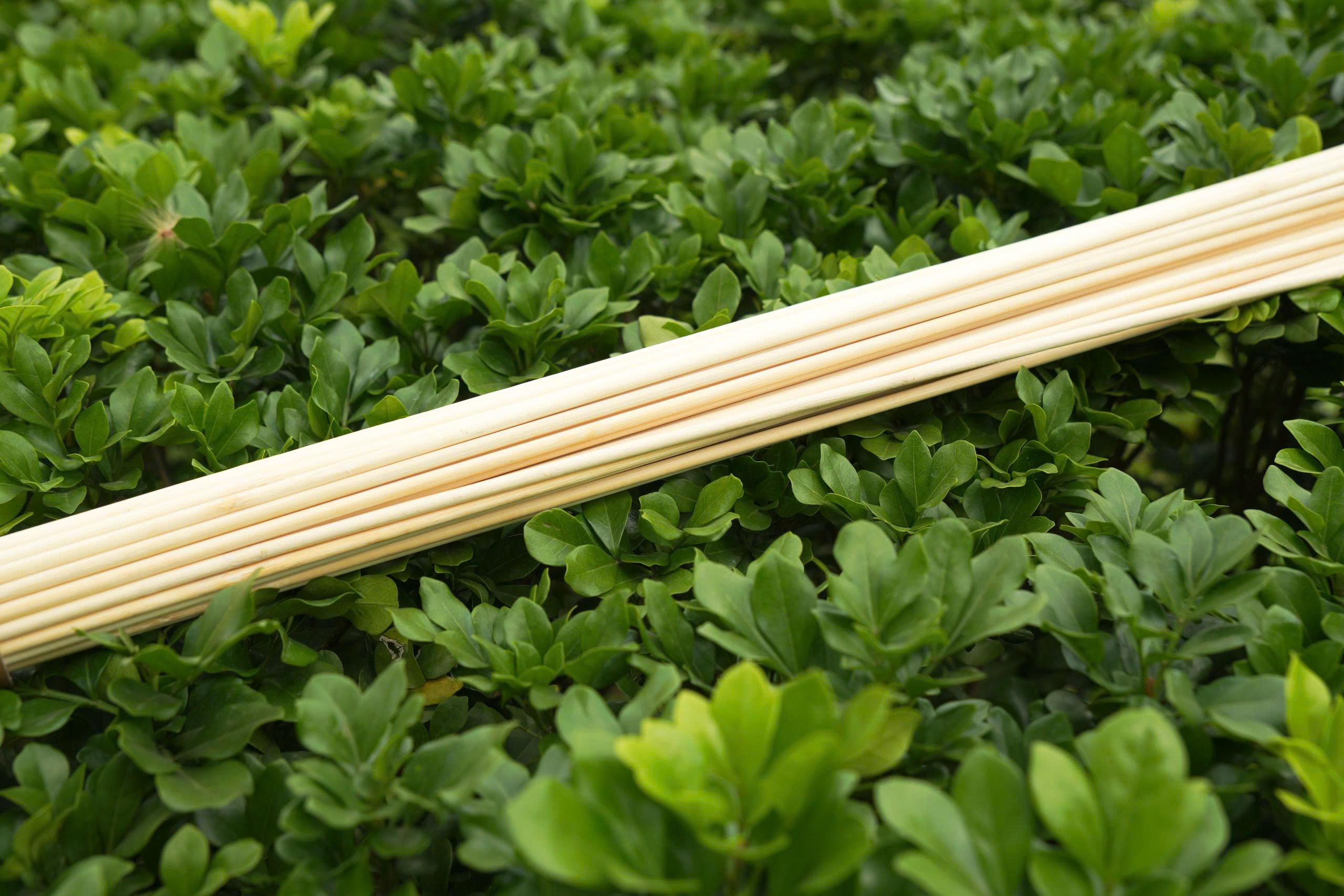 Bó tre trị liệu – Dụng cụ hỗ trợ giải cơ, thư giãn theo cơ chế tự nhiên - Ảnh 2