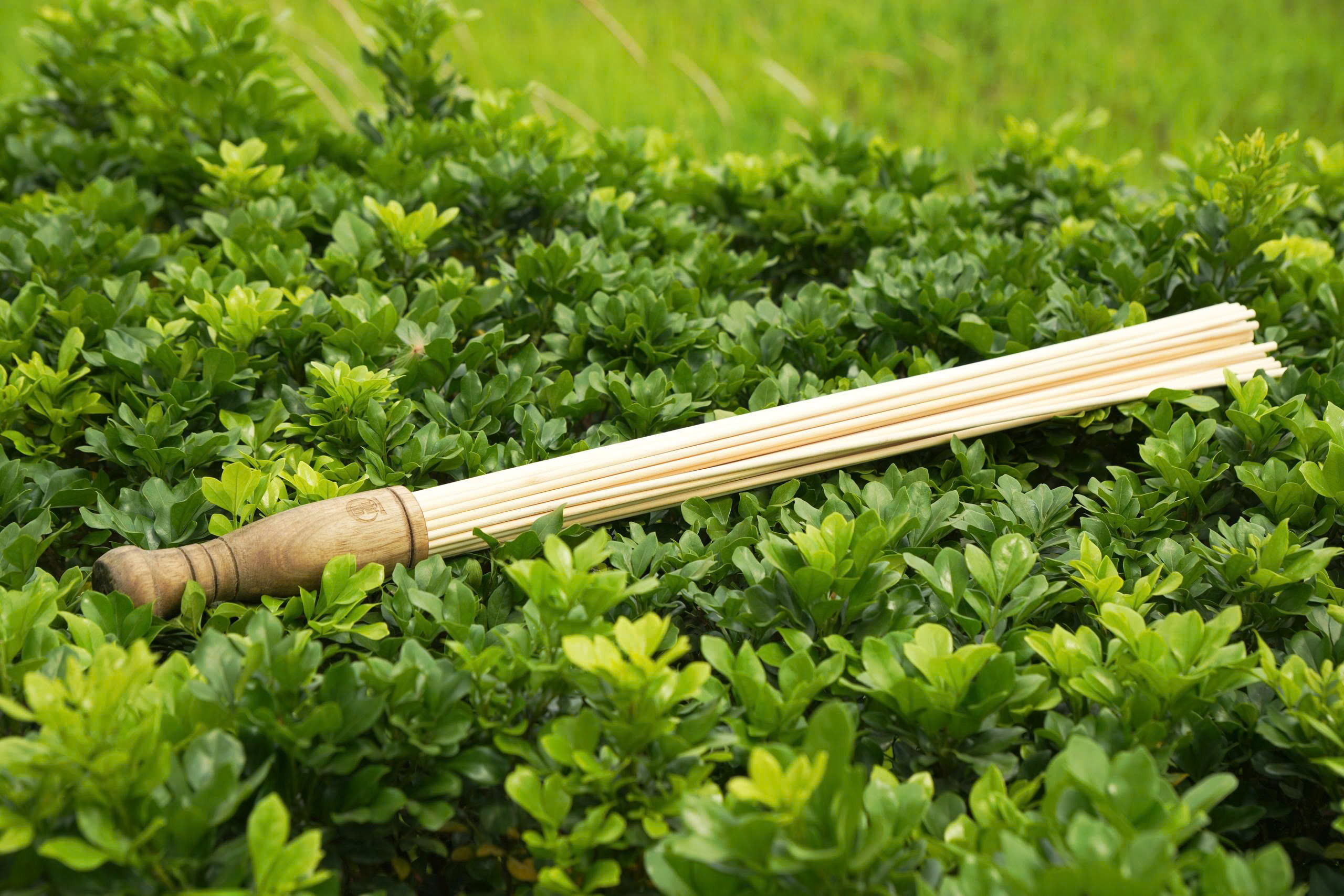 Bó tre trị liệu – Dụng cụ hỗ trợ giải cơ, thư giãn theo cơ chế tự nhiên