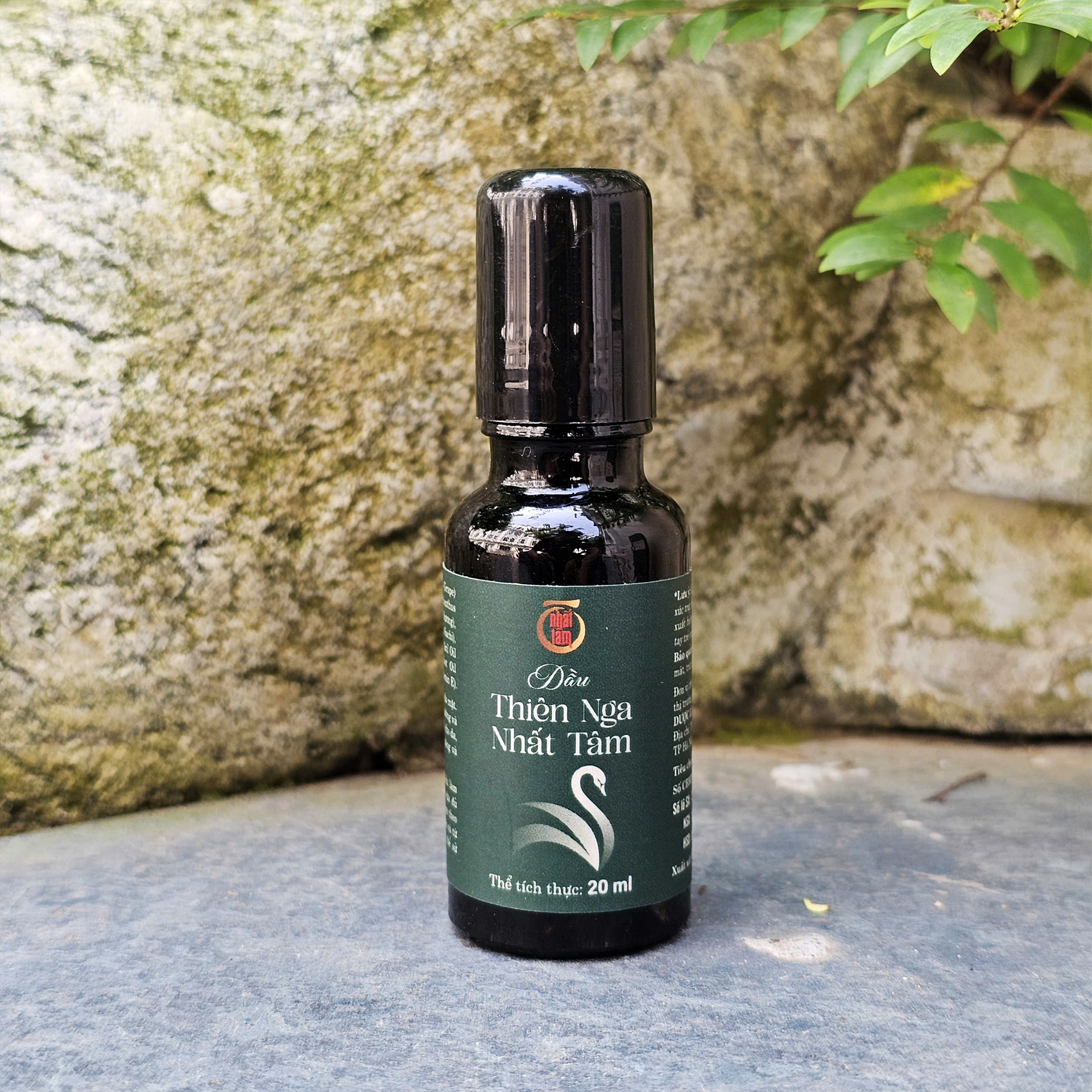 Dầu Thiên Nga Nhất Tâm - Chai 20ml - Ảnh 3