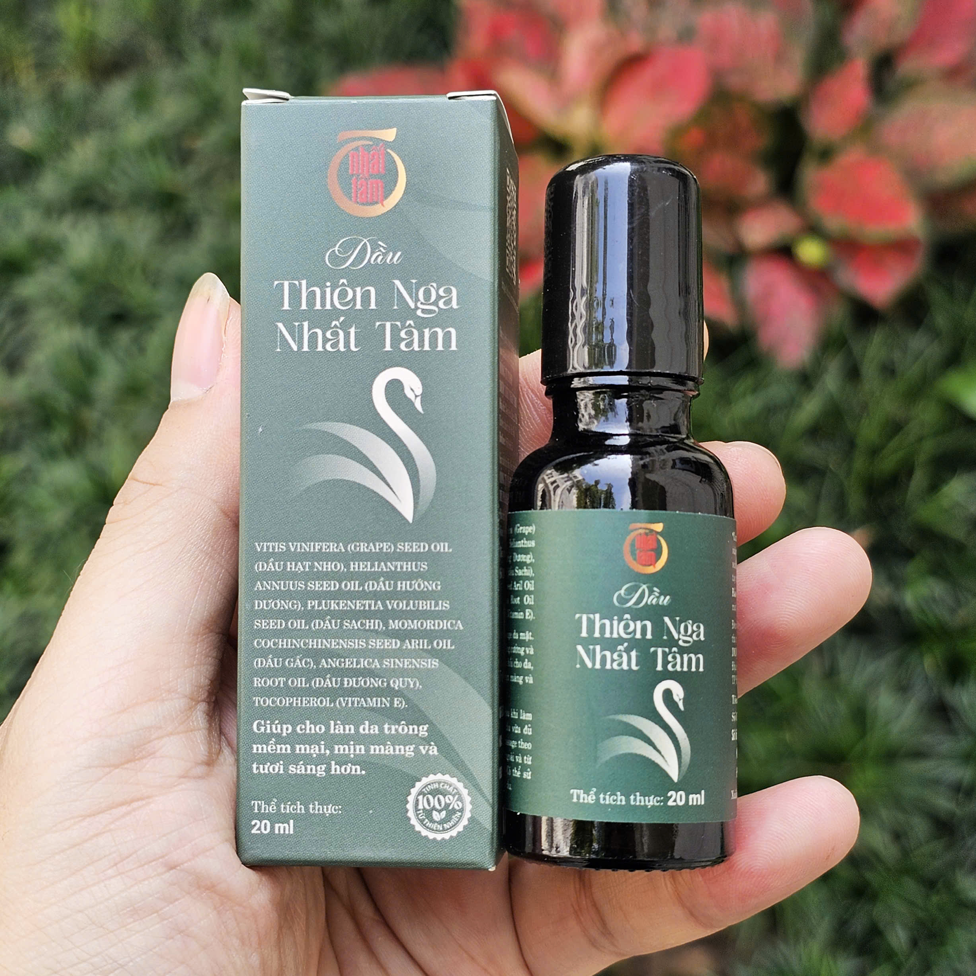 Dầu Thiên Nga Nhất Tâm - Chai 20ml - Ảnh 4